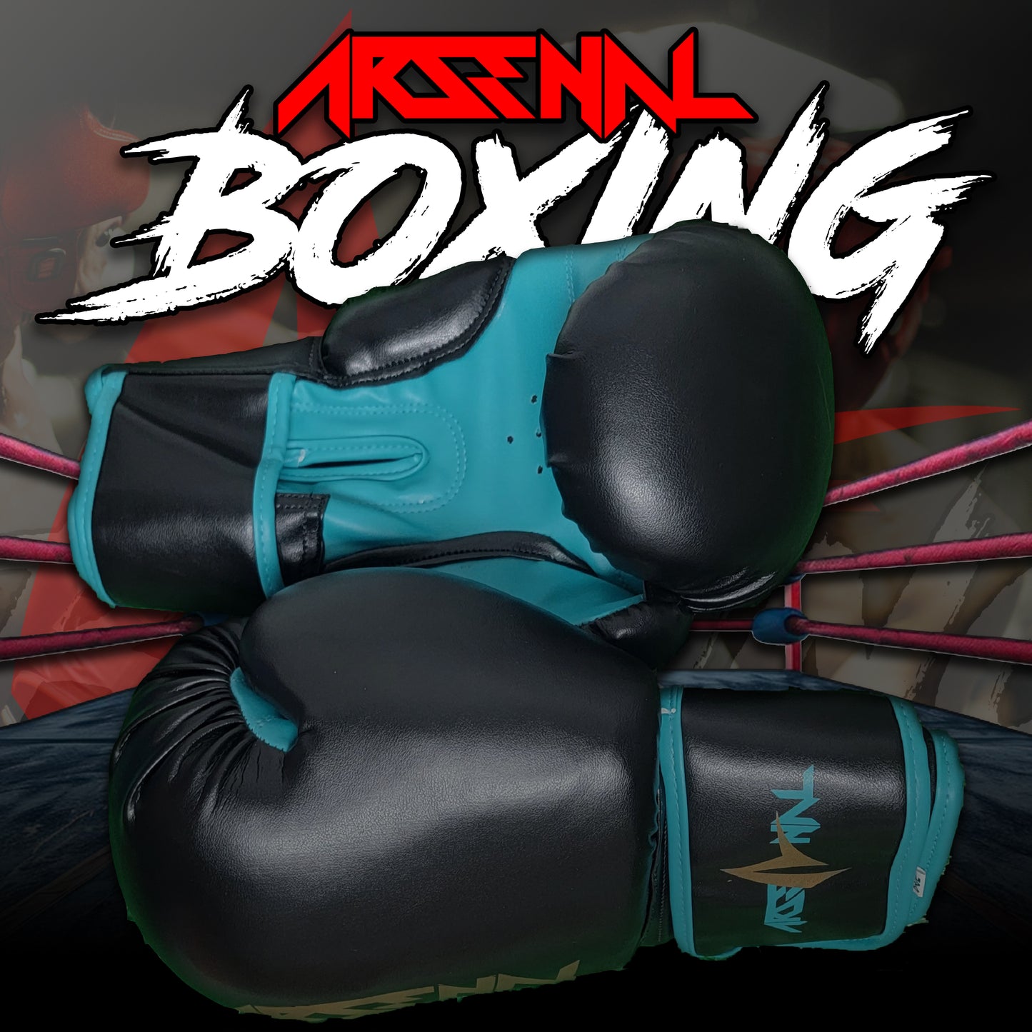 ARSENAL BOXING GLOVES