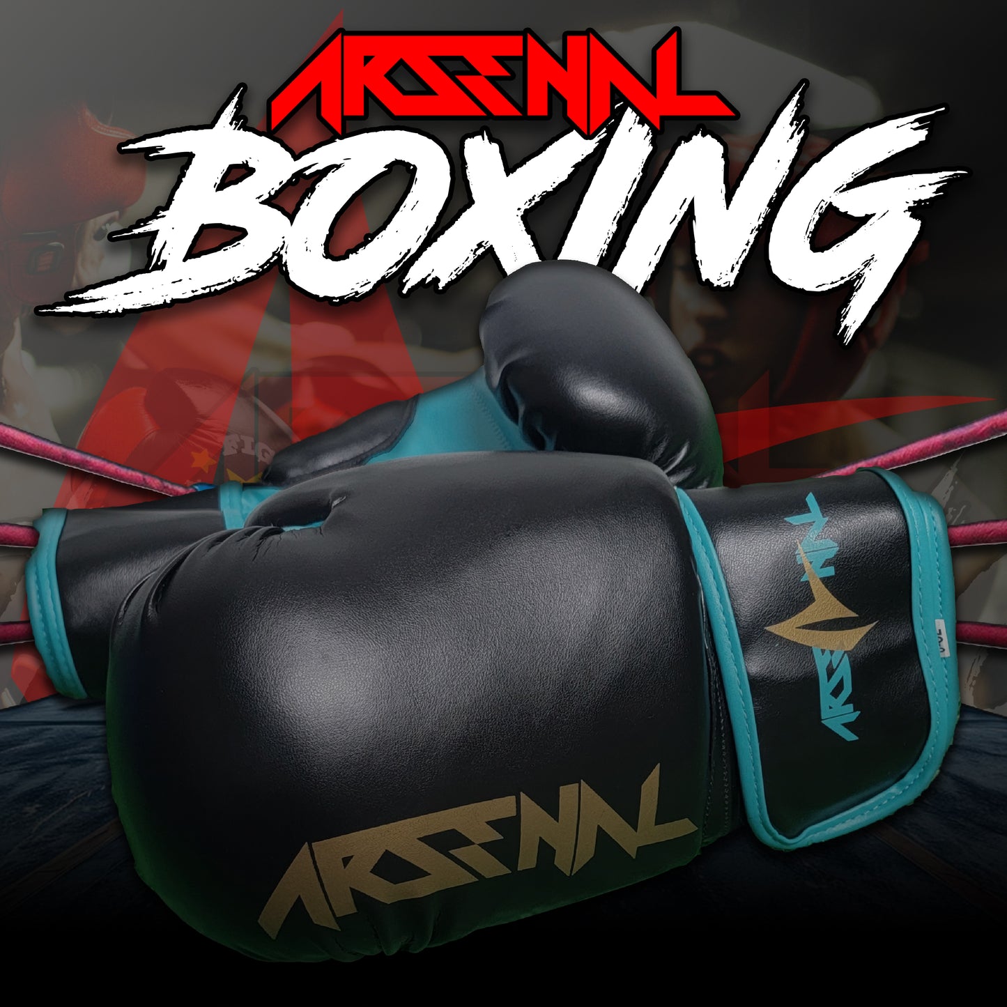 ARSENAL BOXING GLOVES